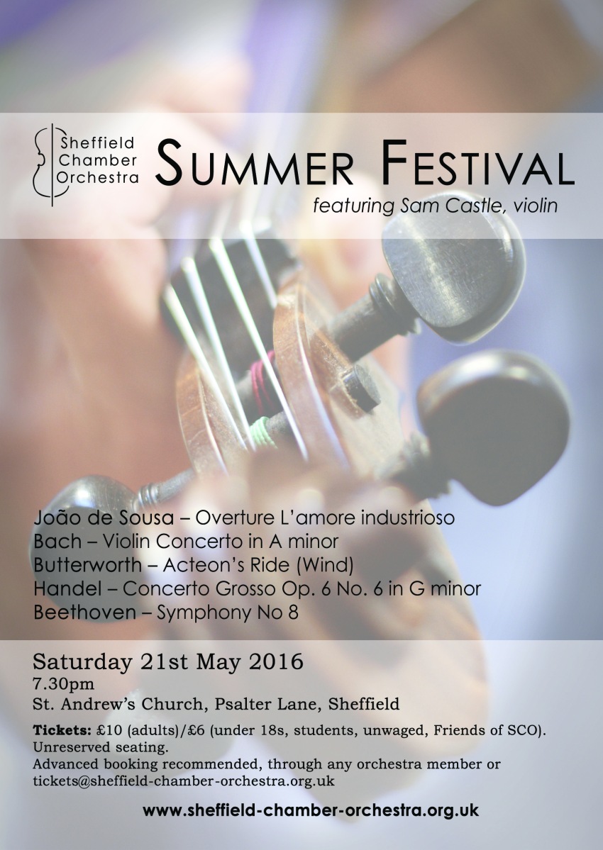 Summer Festival 2016 flyer